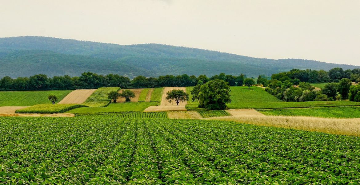 nature-g1a19a23a4_1920-1170×600